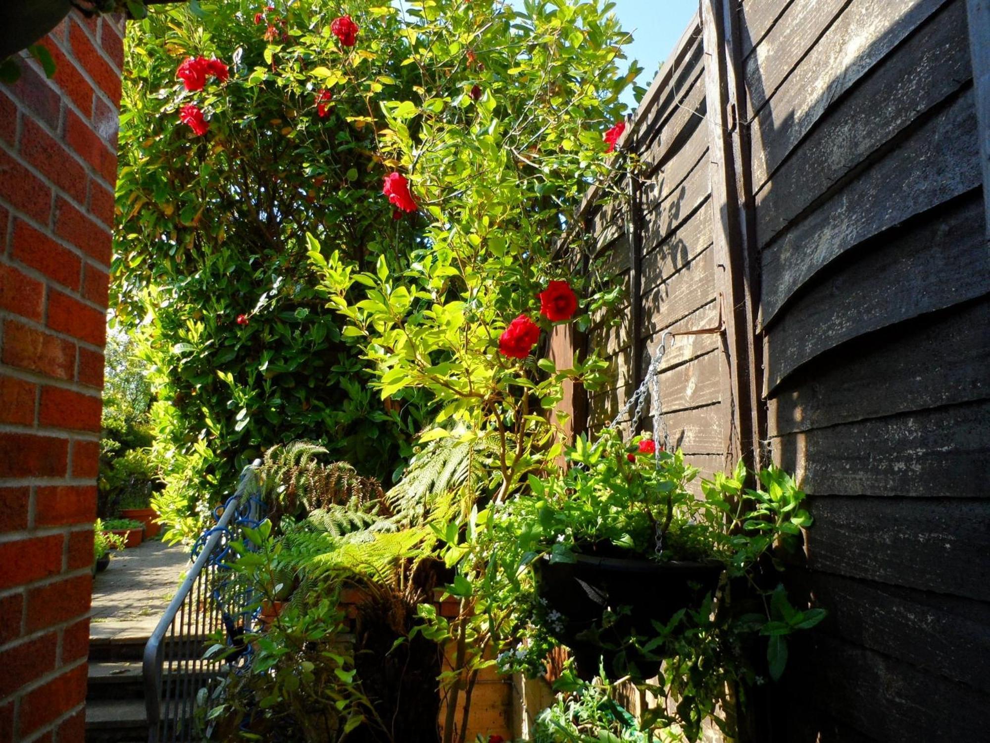 Galway Guest House Weymouth Ngoại thất bức ảnh